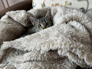 Meet your Posher, Kinga